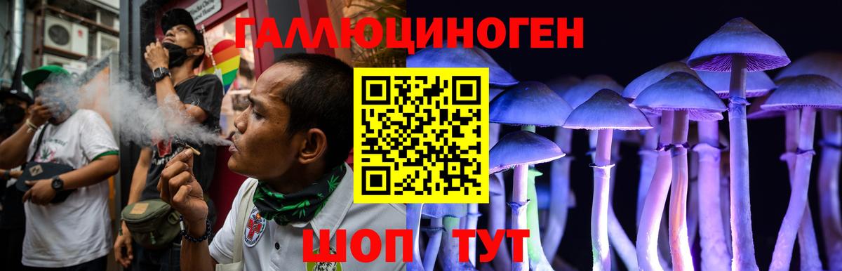Галлюциногенные грибы мицелий  Вход с VPN  Тобольск 